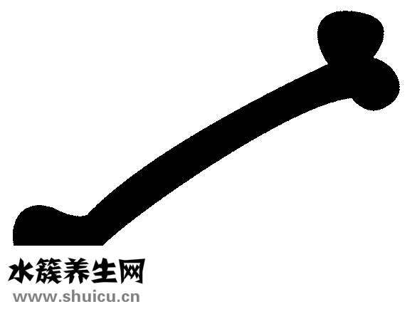 土茯苓豬骨湯
