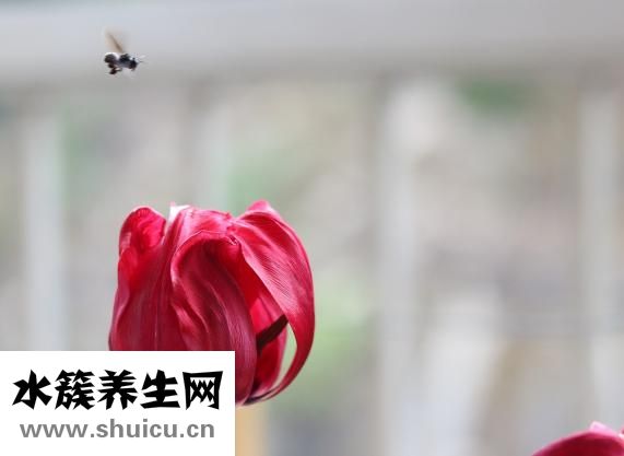 張力性氣胸