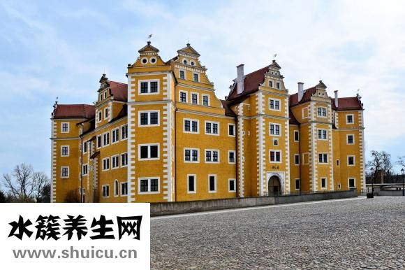 亞斯伯格癥