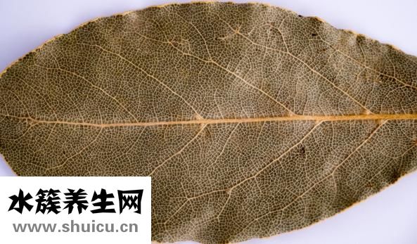 心慌的癥狀