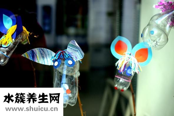 怎樣炒花甲
