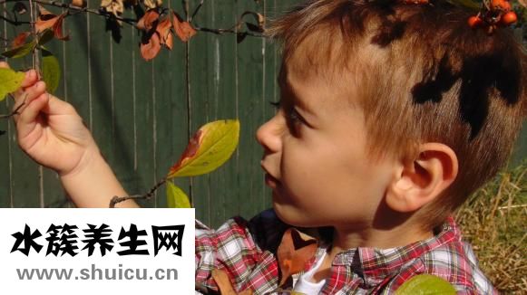 新生兒怎么抱