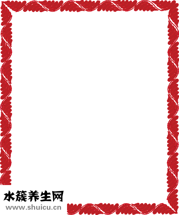 娃娃菜圖片