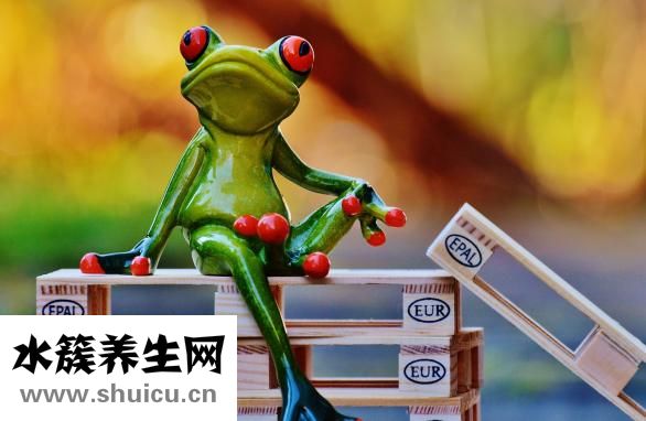 整容瘦臉針