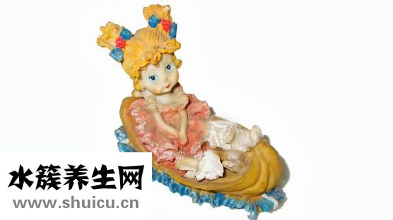 娃娃菜圖片