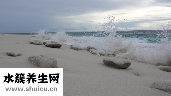 新型抗凝藥
