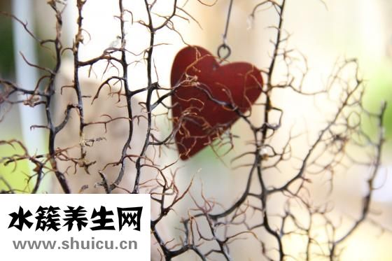 心臟消融手術
