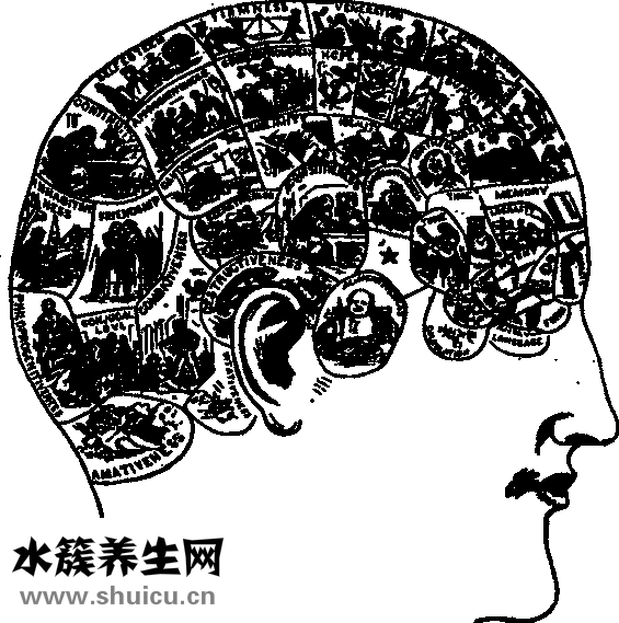 心腦供血不足