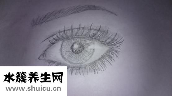 怎樣去除眼部細紋