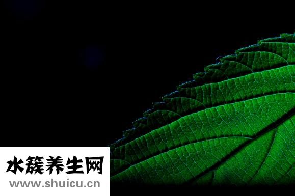 太陽穴在哪