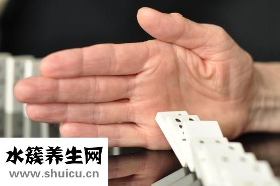 心臟和血管