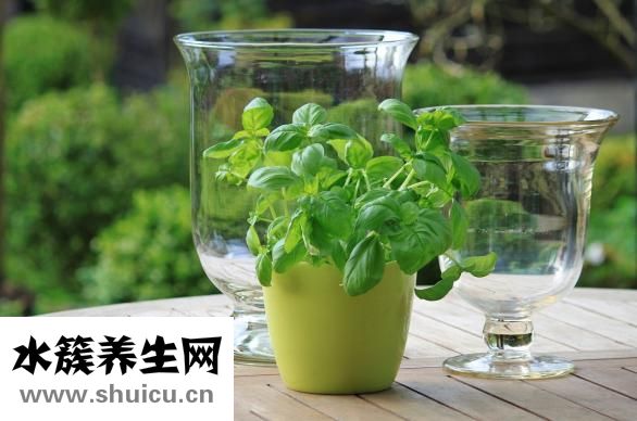心臟和血管