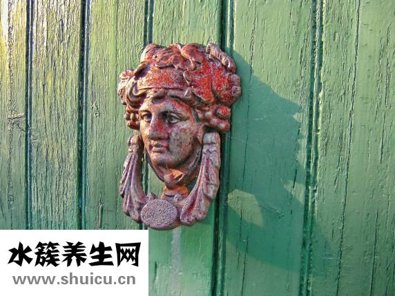 性取向強迫癥