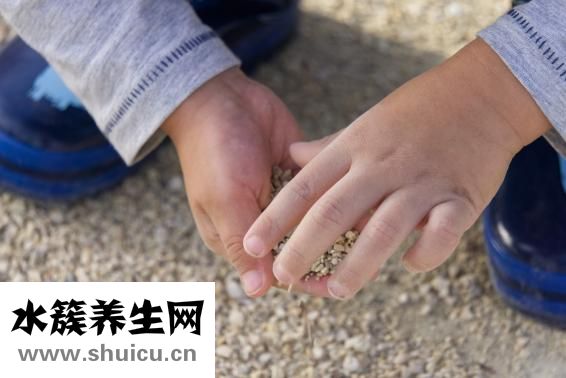 幾個月做四維