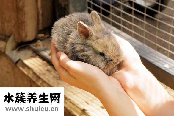 樂孕寧口服液