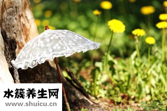 心臟掛什么科