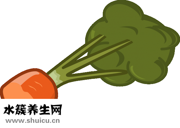 雙孢菇怎么做好吃
