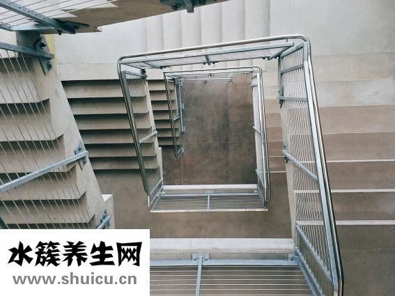 體適能訓練