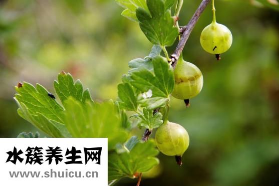 傷筋怎么治療