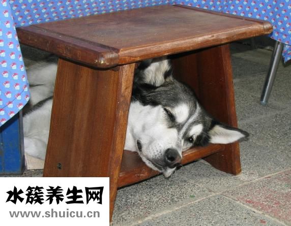 仰臥睡姿圖片