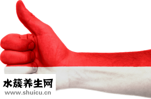 下巴短怎么整