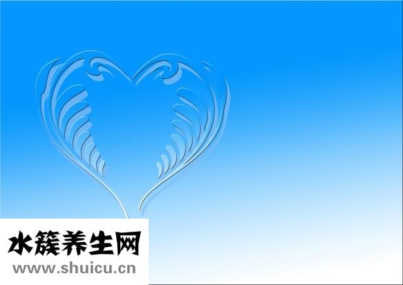 心臟構造圖