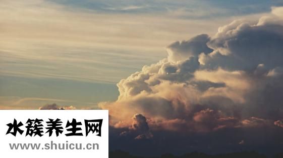 怎么曬蘿卜干