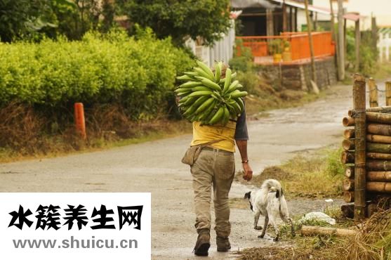 頭昏的原因