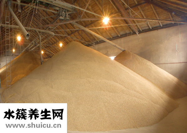 什么是麥芽糖
