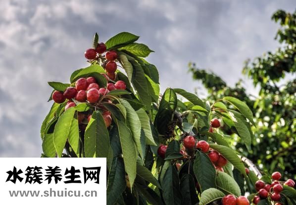 什么是粗糧