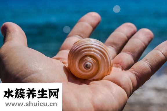 手掌有紅點