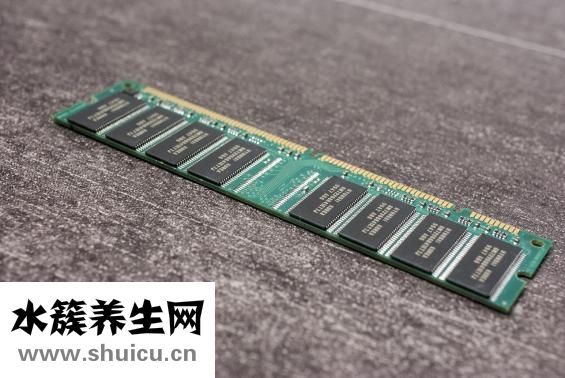 什么茶葉最貴
