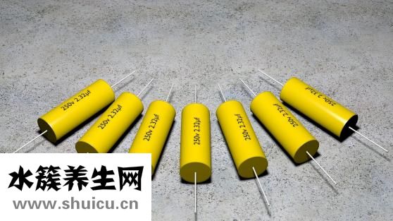 半個月減肥