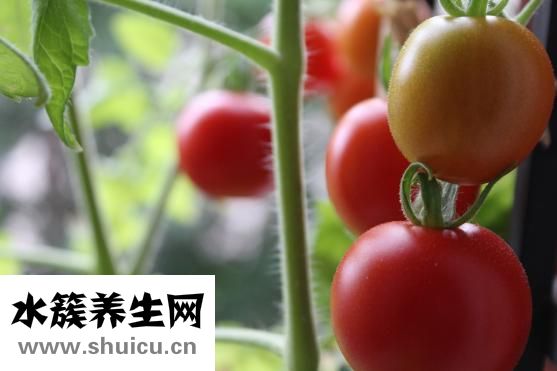 大米是粗糧嗎
