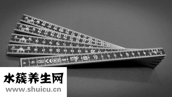 山藥的種類