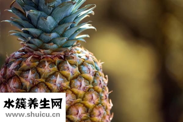 孕婦吃菠蘿