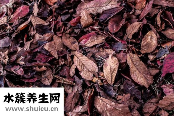 養胃喝什么