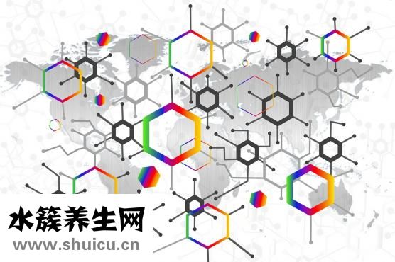 什么是胰腺炎