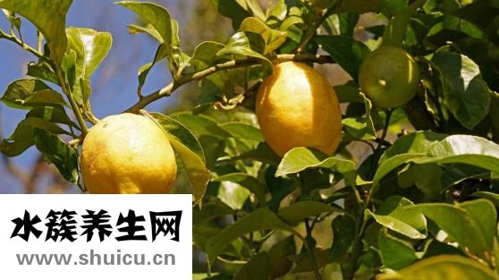 怎么泡酸蘿卜