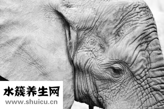 咽口水耳朵疼