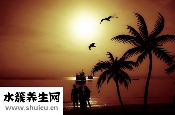怎么泡酸蘿卜