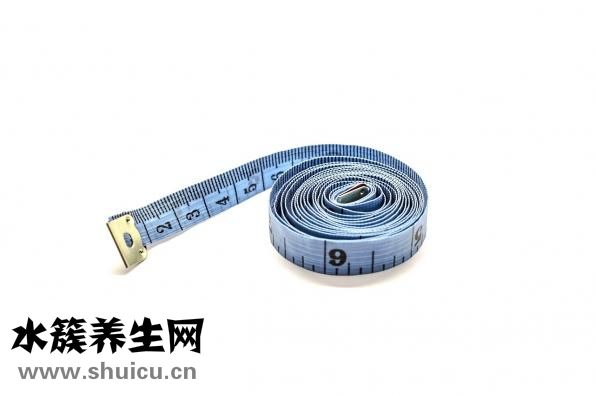 山茱萸的別名