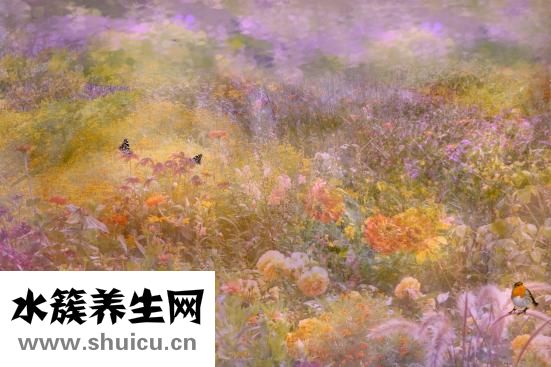 怎么練劈叉