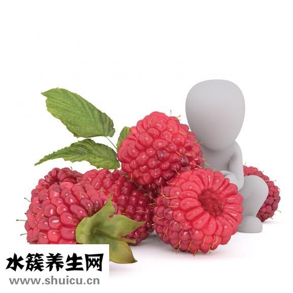 怎么發綠豆芽