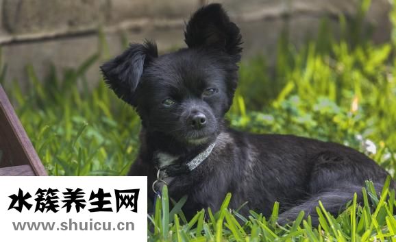 上頜骨骨折