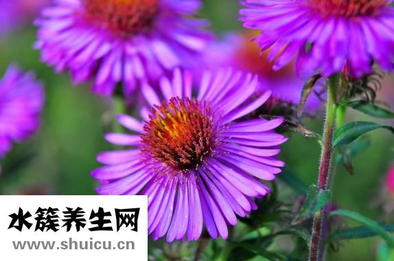 孕婦能做足療嗎
