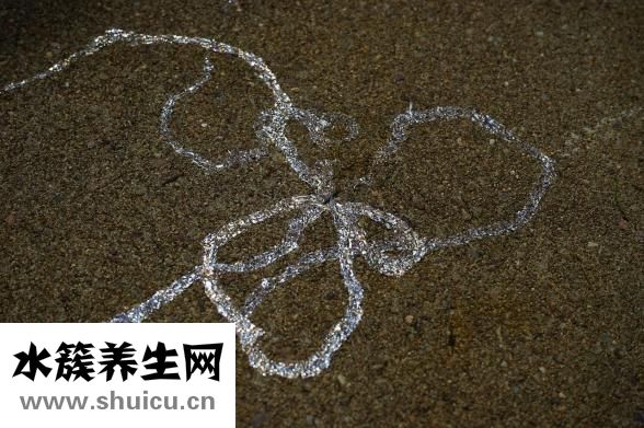 山藥能減肥嗎