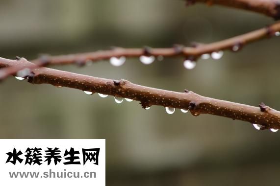 怎么去除體內濕氣