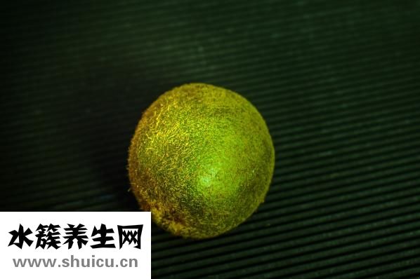 我與孕婦欲亂