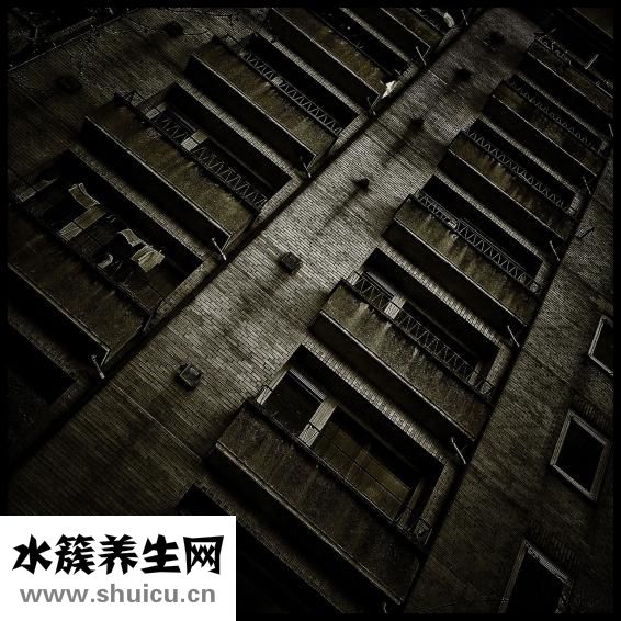 上下腔靜脈